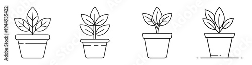Four potted plants in a row drawn with black and white outlines
