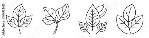 Minimalistic line art illustration of various leaf arrangements on a white background