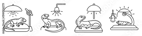 Line art illustration of bearded dragons and frogs under different style lamps