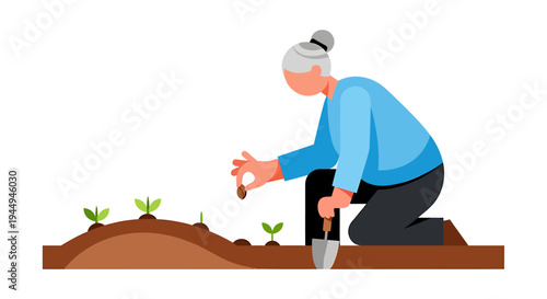 Senior gardener planting seedlings in a garden bed. Vector Illustrations. EPS Editable