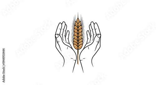 Two human hands, rendered as simple black outlines, are positioned symmetrically, gently cupping a single, vertically oriented, golden-brown wheat stalk on a pristine white background.
