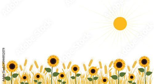 A vibrant field of numerous sunflowers and golden wheat stalks stretches horizontally under a bright, stylized yellow sun with radiating rays.