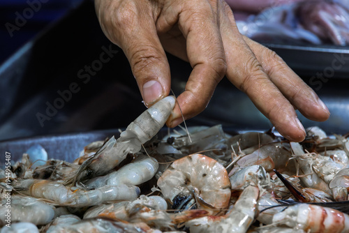 A customer picks up a fresh raw shrimp at a wet market with their finger and thumb. The close up detail shows the texture of the shellfish as it is selected for purchase in Wat Klang Market, Bangkok