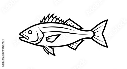 Line drawing of a generic fish with fins, gills, and scales in profile.
