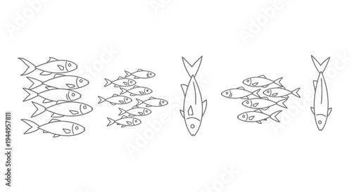 Group of Line Drawn Fish in a Quiet Schooling Pattern.