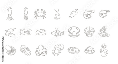 Line art collection of diverse sea creatures and shells in grayscale vector style for decorative icons.