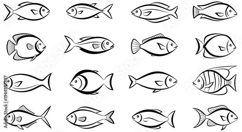 Collection of simple line drawings depicting various swimming fish silhouettes in a grid.