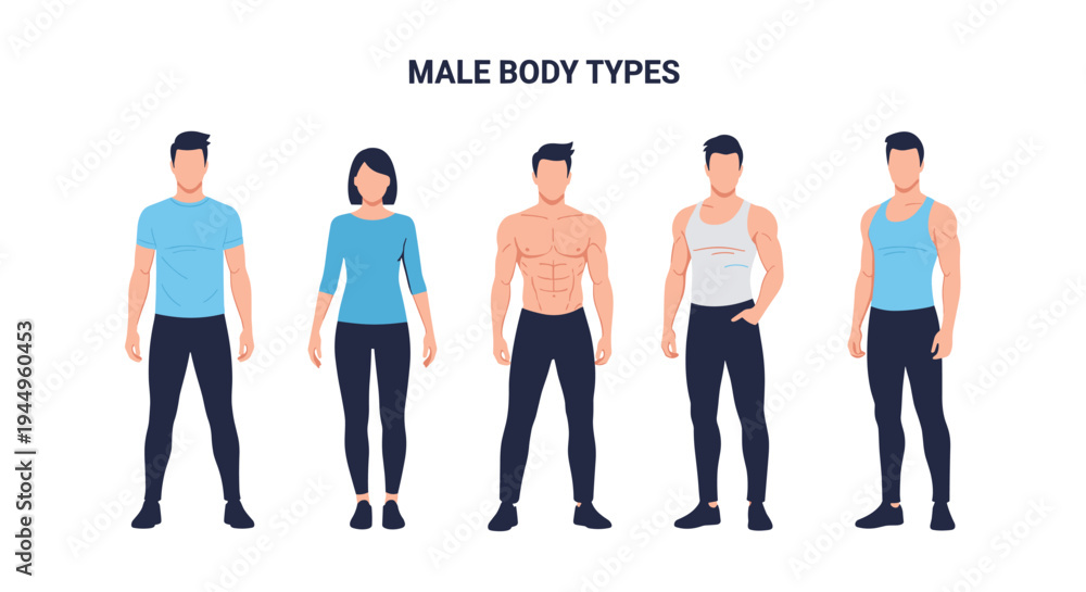 Obraz premium Infographic illustration displaying various male body types from average to athletic and muscular on a plain background.