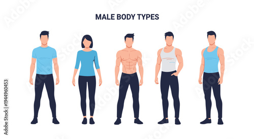Infographic illustration displaying various male body types from average to athletic and muscular on a plain background.