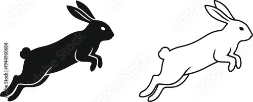 Black and white rabbits running side by side Vector