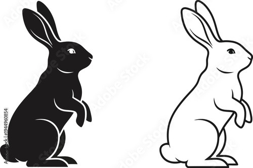 Black and white rabbits standing side by side Vector