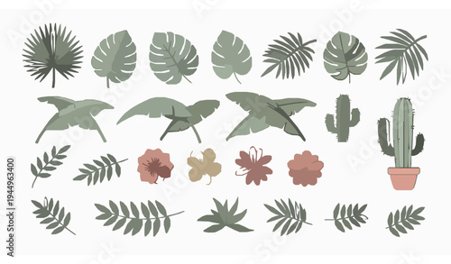 Tropical botanical icon set with palm monstera cactus and exotic plant line vector collection