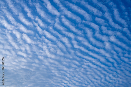 Canvastavla Stunning altocumulus undulatus clouds pattern on clear blue sky background