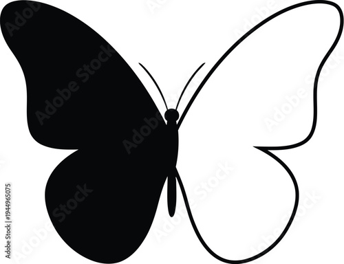 Butterfly black and white illustration Vector