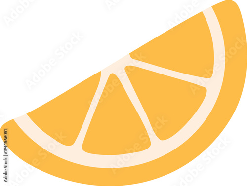 Hand Drawn Citrus Fruit Slice Vector