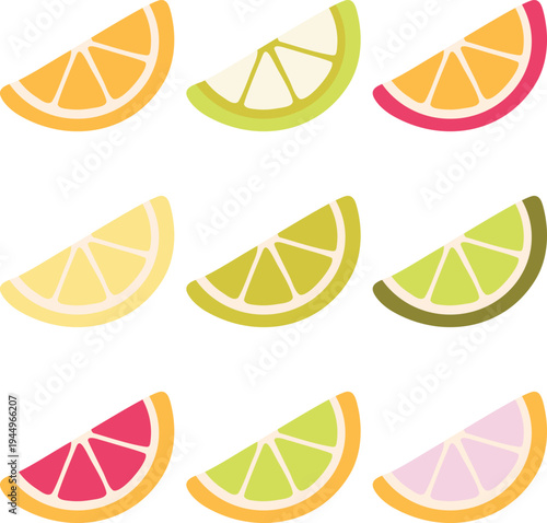 Orange Lime Lemon Slice Vector Set Summer Drink Elements