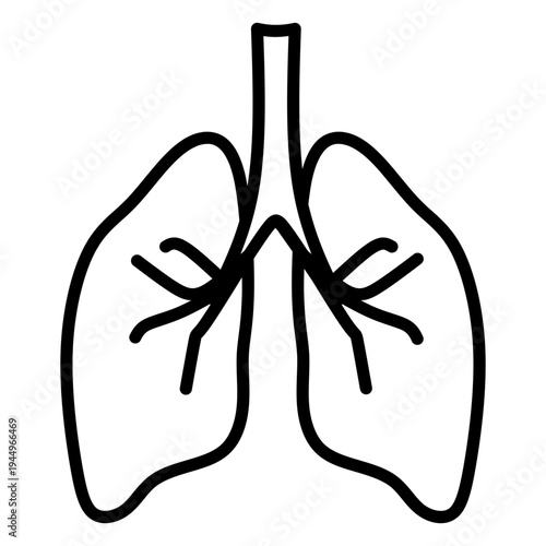 lungs