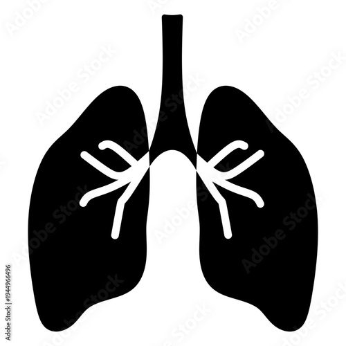lungs