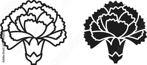 Set of 2 cauliflower icons vector