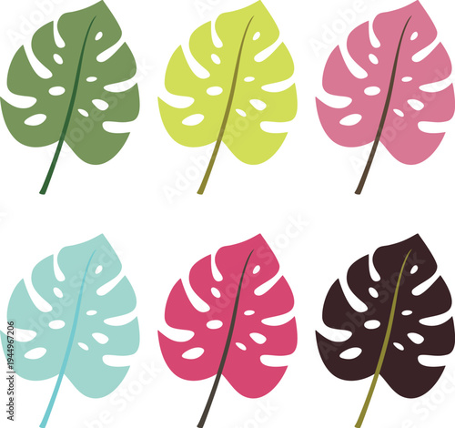 Tropical Monstera Leaf Vector Set Summer Botanical Collection