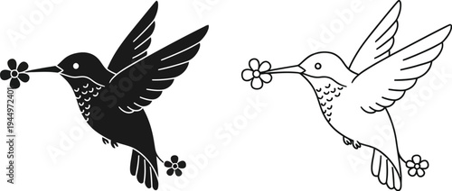 Black and white hummingbirds with flowers Vector