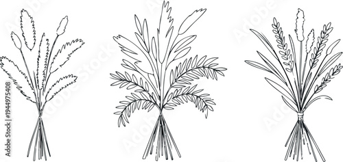 Elegant wheat bunches and leafy branches for rustic decor on transparent background design