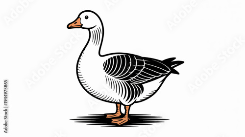 Goose standing alone in a simple illustration style with white background and black and white feathers