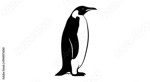 Black and white illustration of an emperor penguin. A clean, minimalist graphic depicting this majestic Antarctic bird standing tall
