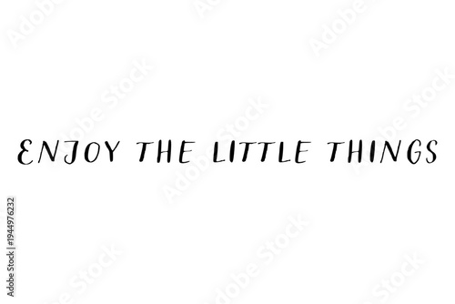 Enjoy the little things - Enjoy the little things words on white background, calligraphy, handwritten, vector
