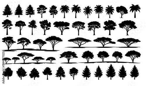 Big set of tree silhouettes from different natural climate zones isolated on white background vector collection