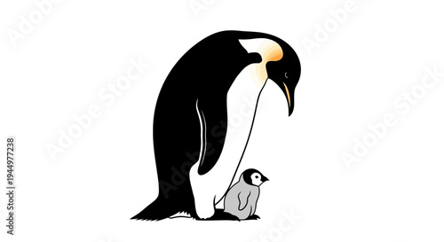 Illustration of an adult emperor penguin sheltering its chick, symbolizing protection and family in nature