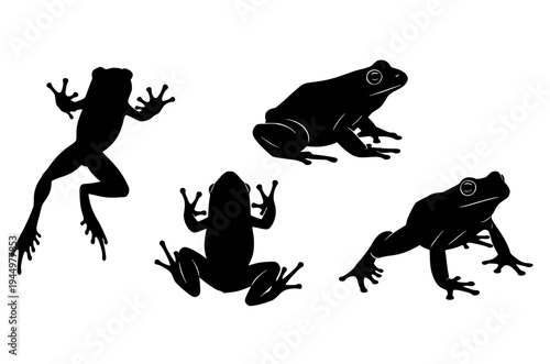 Frog silhouette set in different poses, jumping, sitting, climbing, isolated on white background, perfect amphibian animal illustration for nature, wildlife, design.