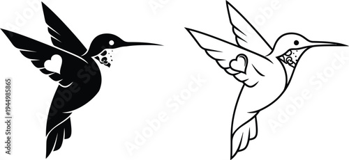 Hummingbirds in flight black and white illustration Vector