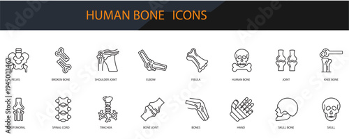 human bone icons set minimalist flat style design, human bone Vector illustration  on white background
