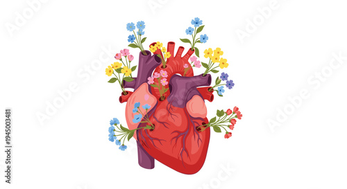 A vibrant anatomical human heart with colorful flowers and green stems emerging from its vessels is depicted on a pristine white background.