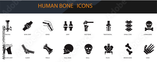 human bone icons set minimalist flat style design, human bone Vector illustration  on white background