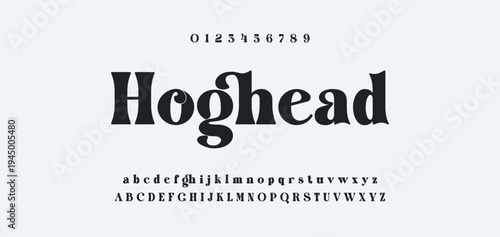 Luxury alphabet letters font and number. Typography elegant wedding classic lettering serif fonts decorative vintage retro concept. vector illustration