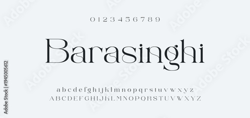 Luxury alphabet letters font and number. Typography elegant wedding classic lettering serif fonts decorative vintage retro concept. vector illustration