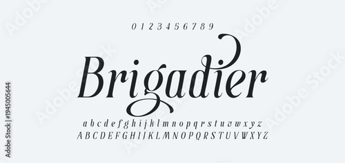 Luxury alphabet letters font and number. Typography elegant wedding classic lettering serif fonts decorative vintage retro concept. vector illustration