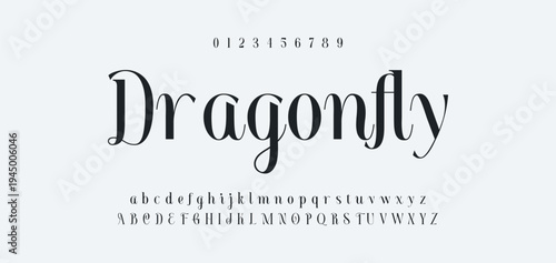 Luxury alphabet letters font and number. Typography elegant wedding classic lettering serif fonts decorative vintage retro concept. vector illustration