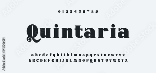 Luxury alphabet letters font and number. Typography elegant wedding classic lettering serif fonts decorative vintage retro concept. vector illustration