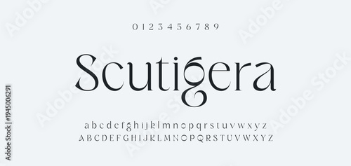 Luxury alphabet letters font and number. Typography elegant wedding classic lettering serif fonts decorative vintage retro concept. vector illustration