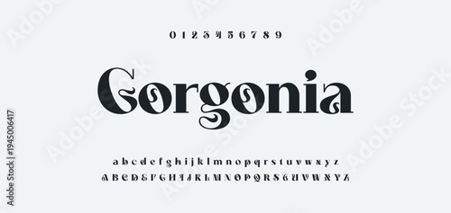 Luxury alphabet letters font and number. Typography elegant wedding classic lettering serif fonts decorative vintage retro concept. vector illustration