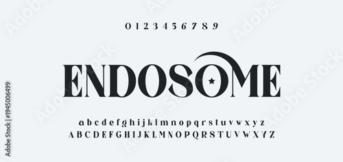 Luxury alphabet letters font and number. Typography elegant wedding classic lettering serif fonts decorative vintage retro concept. vector illustration