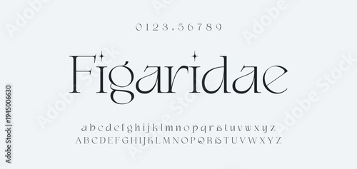 Luxury alphabet letters font and number. Typography elegant wedding classic lettering serif fonts decorative vintage retro concept. vector illustration