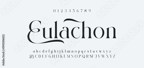 Luxury alphabet letters font and number. Typography elegant wedding classic lettering serif fonts decorative vintage retro concept. vector illustration