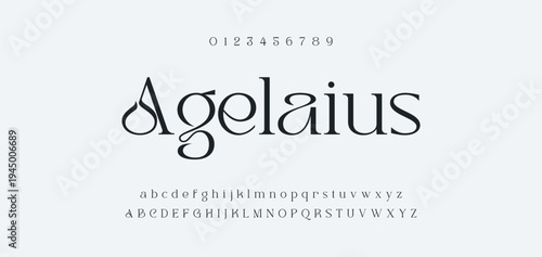 Luxury alphabet letters font and number. Typography elegant wedding classic lettering serif fonts decorative vintage retro concept. vector illustration