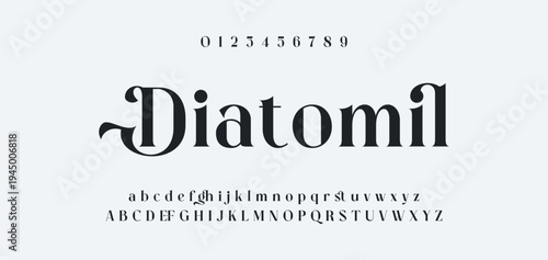 Luxury alphabet letters font and number. Typography elegant wedding classic lettering serif fonts decorative vintage retro concept. vector illustration