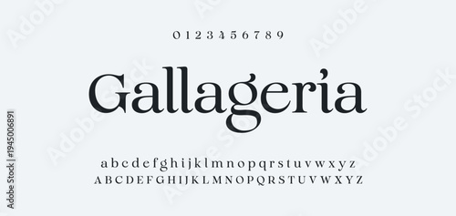 Luxury alphabet letters font and number. Typography elegant wedding classic lettering serif fonts decorative vintage retro concept. vector illustration