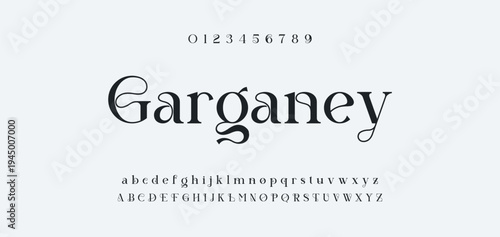 Luxury alphabet letters font and number. Typography elegant wedding classic lettering serif fonts decorative vintage retro concept. vector illustration